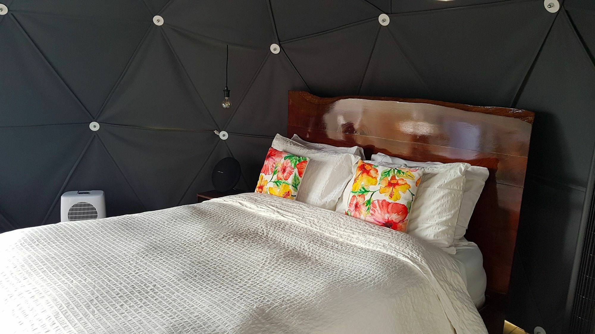 Chira Glamping Resort Monteverde Exterior foto