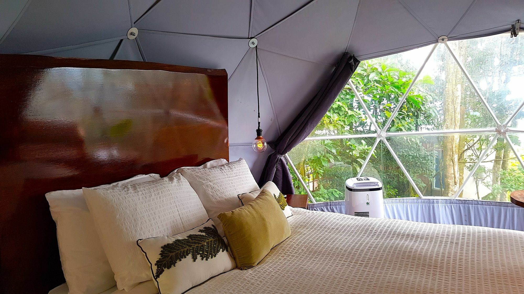 Chira Glamping Resort Monteverde Exterior foto