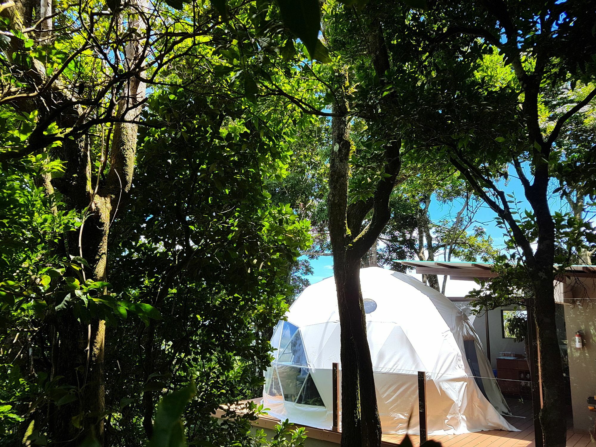 Chira Glamping Resort Monteverde Exterior foto